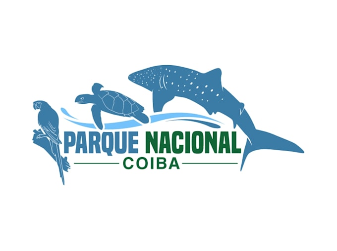 design beautiful custom shark logo
