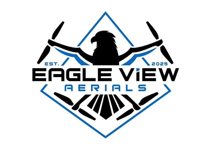 design excellent drone logo