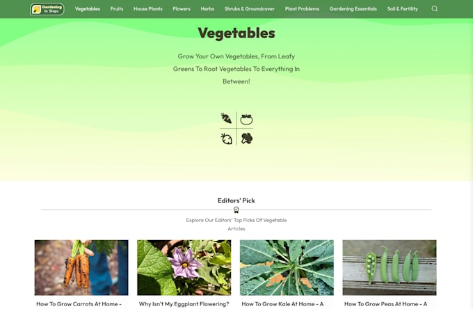 build or rebuild a custom website as a front end or full stack web developer