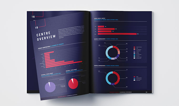 design a professional infographic and data visualization