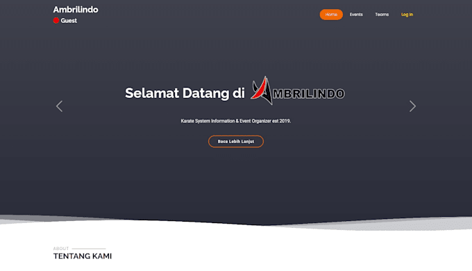 create a custom functional website for you