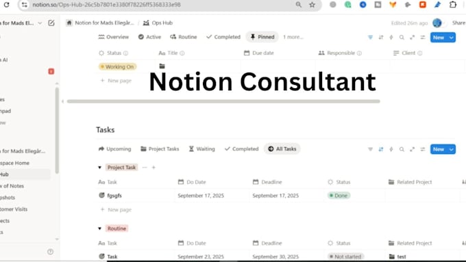 notion template project manager, notion consultant and notion expert