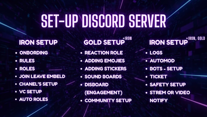 create and set up a professional discord server with bot, roles and auto mod