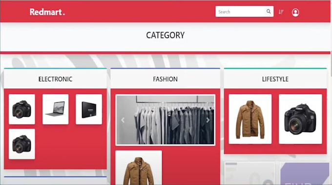 build a professional website using laravel or codeigniter