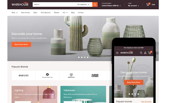 build shopify store design and dropshipping website design
