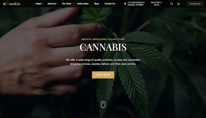 design cbd ecommerce website for hemp, gummies, and wellness products
