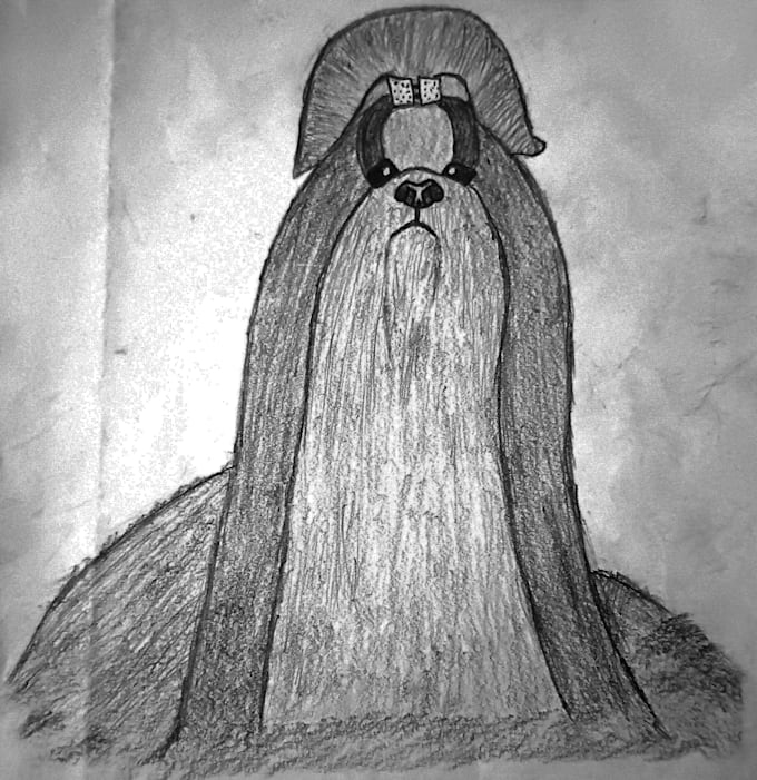 make dogs drawings and illustrations