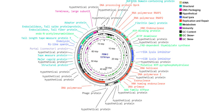 perform genome analysis using wgs data