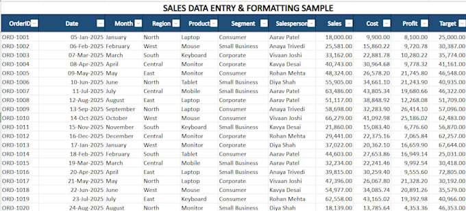 excel data entry and spreadsheet formatting