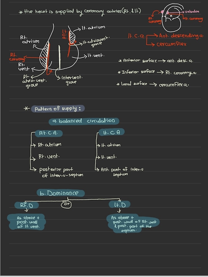 summarize medical topics into simple study notes