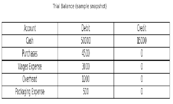 provide excel accounting and data entry expert services