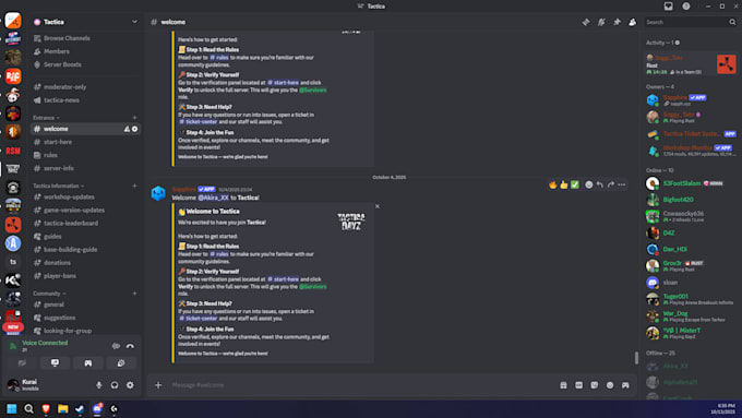 create a professional discord server
