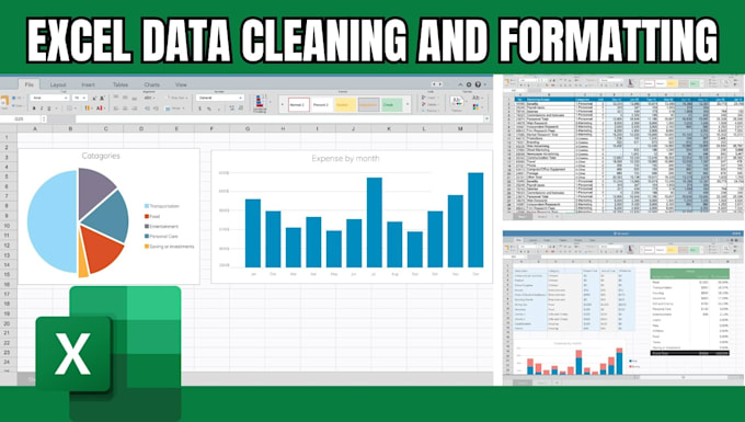 data cleaning, formatting data analysis expert