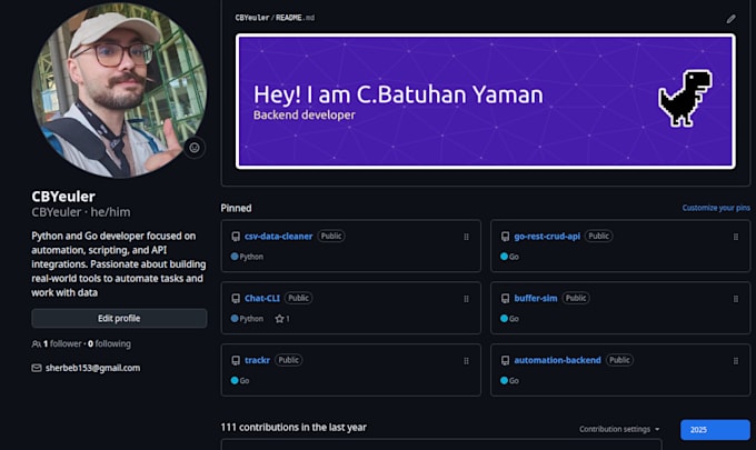 build clean and scalable backend systems in python and go