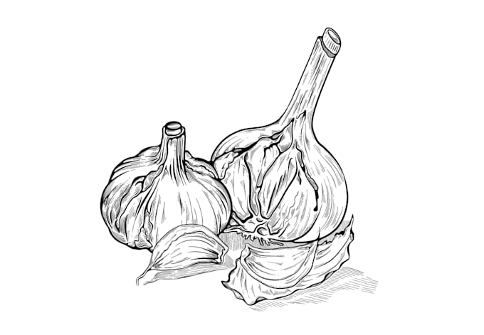 create a line food illustration for menu and packaging