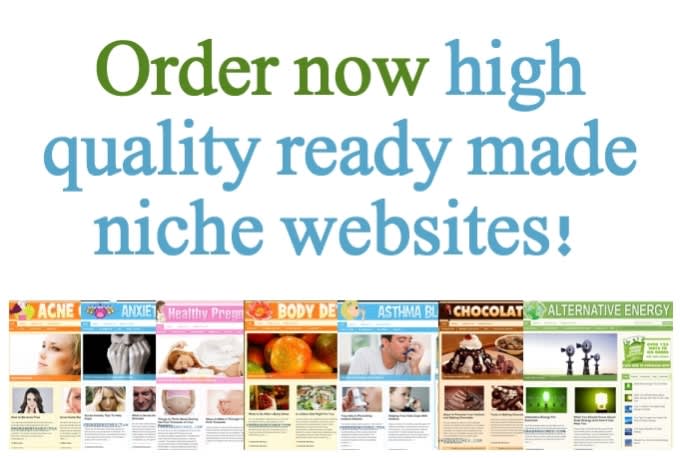 Build niche websites or blogs seo optimized and responsive for