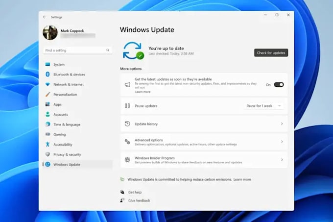 repair, fix your windows, laptop, pc optimization remotely