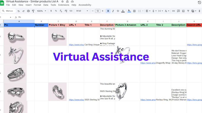 be your expert administrative virtual assistant for all data tasks