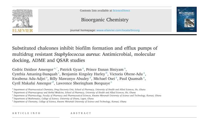 perform molecular dynamics simulations to study drug polymer interactions