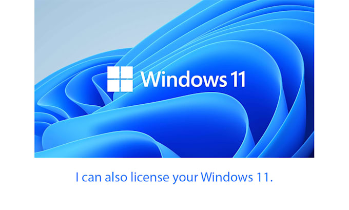 do license your microsoft office 365 and windows 11