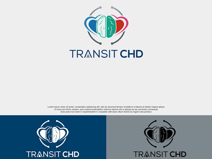 do high quality satisfaction transit logo
