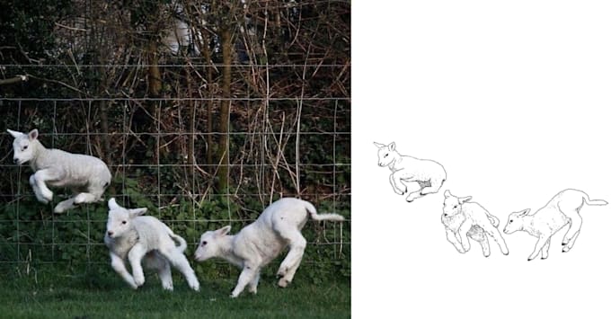 turn your pet picture to line art