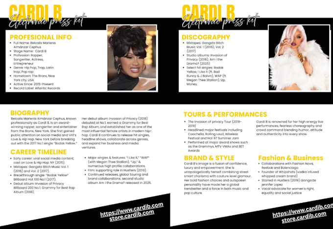 Design a professional epk electronic press kit for artist musicians and ...
