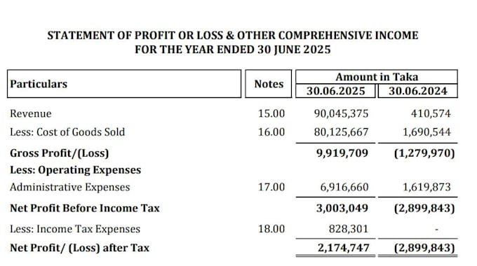 create professional financial statements and excel accounting reports