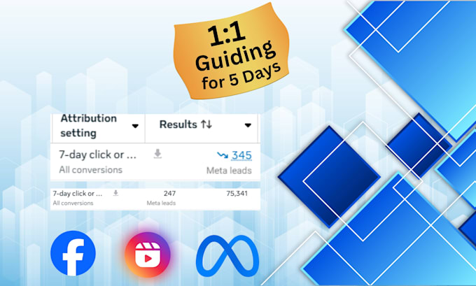 provide facebook ads training, coaching and guiding  1 to 1