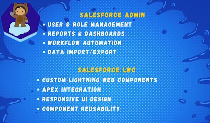 setup, manage, customize, and improve your salesforce CRM