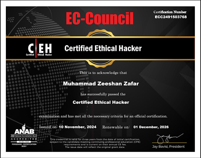 do any cybersecurity or web projects or jobs