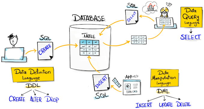 design and develop sql or mysql database, er diagrams, and queries