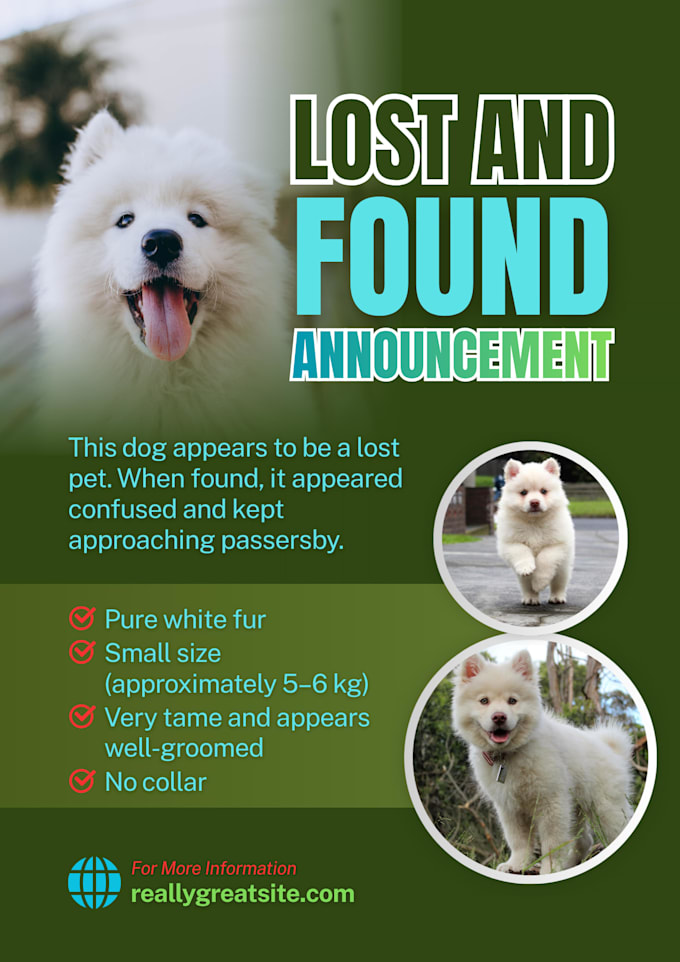 create a professional lost pet poster and annoncement