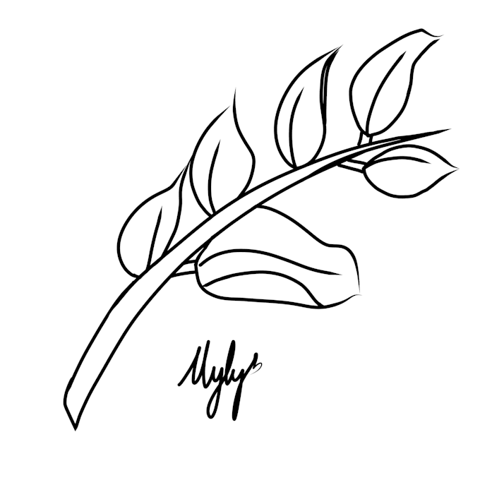 line art or for coloring