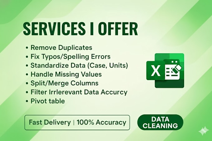 professionally clean and organize your excel data