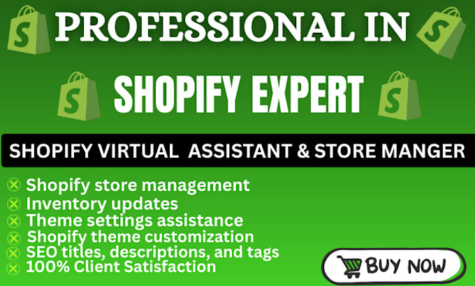 manage and optimise your shopify store as a VA