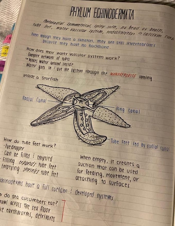 be your science and biology tutor for all grades