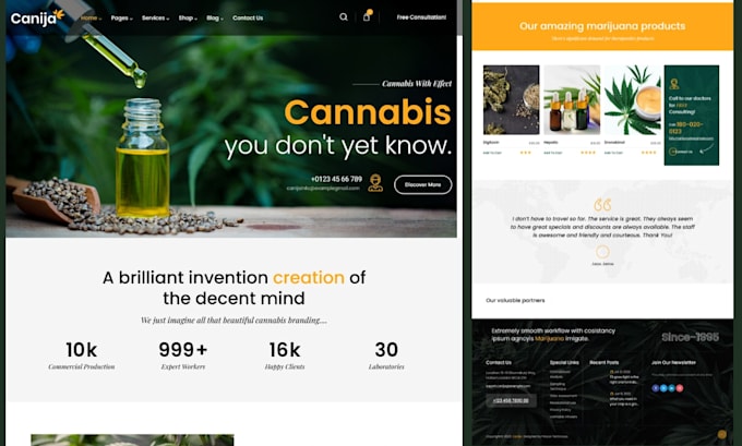 design trendy cannabis, cbd, weed, hemp ecommerce website with delivery system
