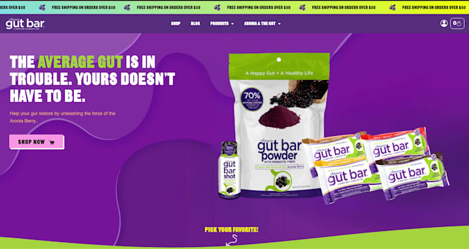 create professional wordpress website design and custom website design