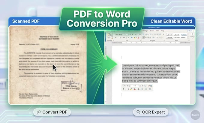 do microsoft word document formatting ms word pdf to word expert book formatting