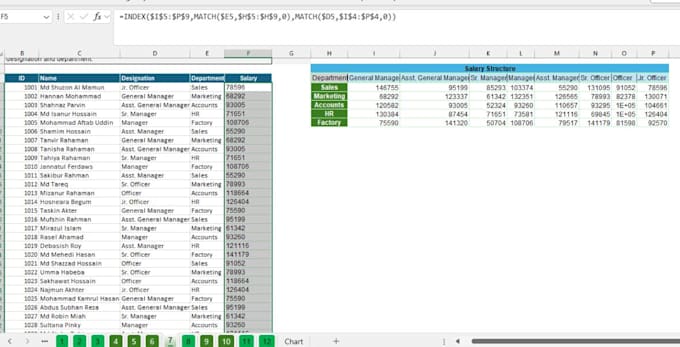 do data entry, data analysis and data visualisation