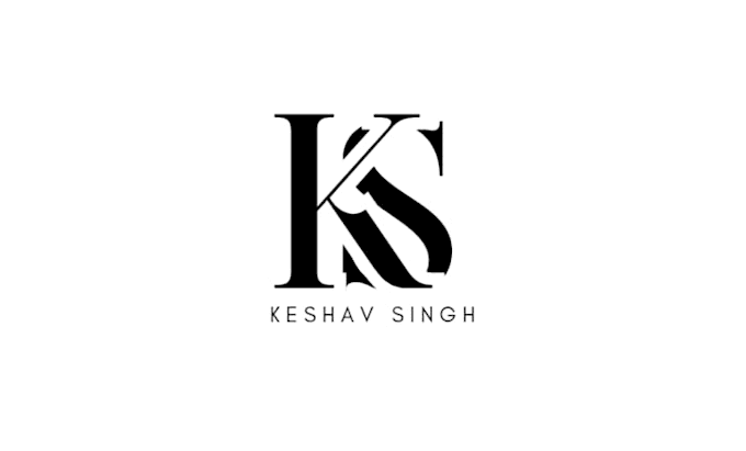 create a professional and unique business logo