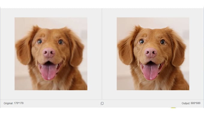 recreate resize any graphic design edit logo, flyers banner ads image bg remover