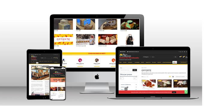 create a professional and responsive showcase website for your business