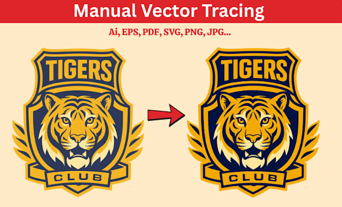 do vector tracing, manual expert vector tracing, redraw and transform your logo