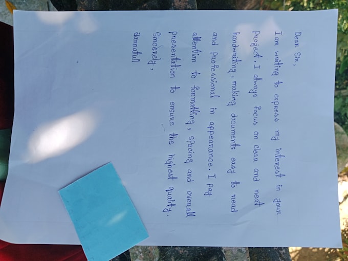 provide neat, aesthetic handwritten notes and assignments