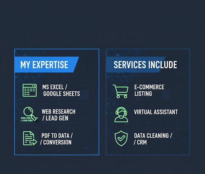 expert data entry specialist virtual assistant excel