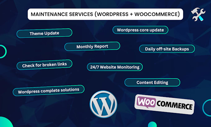 do professional wordpress maintenance, updates, optimization and error fix