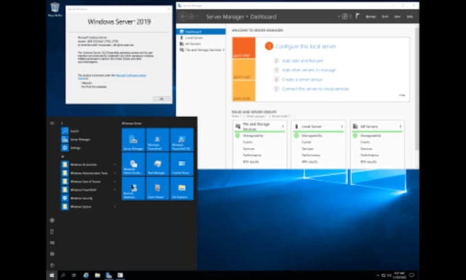 install, configure and troubleshoot windows server active directory dns dhcp gpo