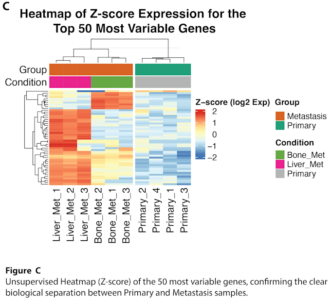 analyze processed rnaseq matrix performing functional dgea